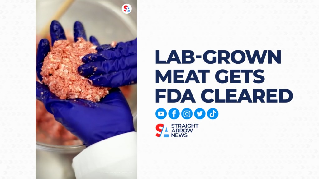 FDA approves no-kill, lab-grown meat created from animal cells