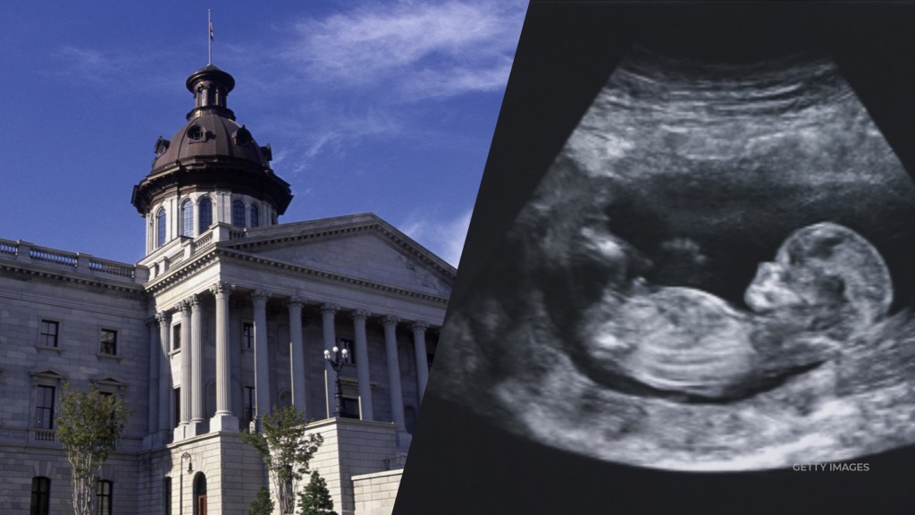 South Carolina lawmakers push bill to link abortion to homicide