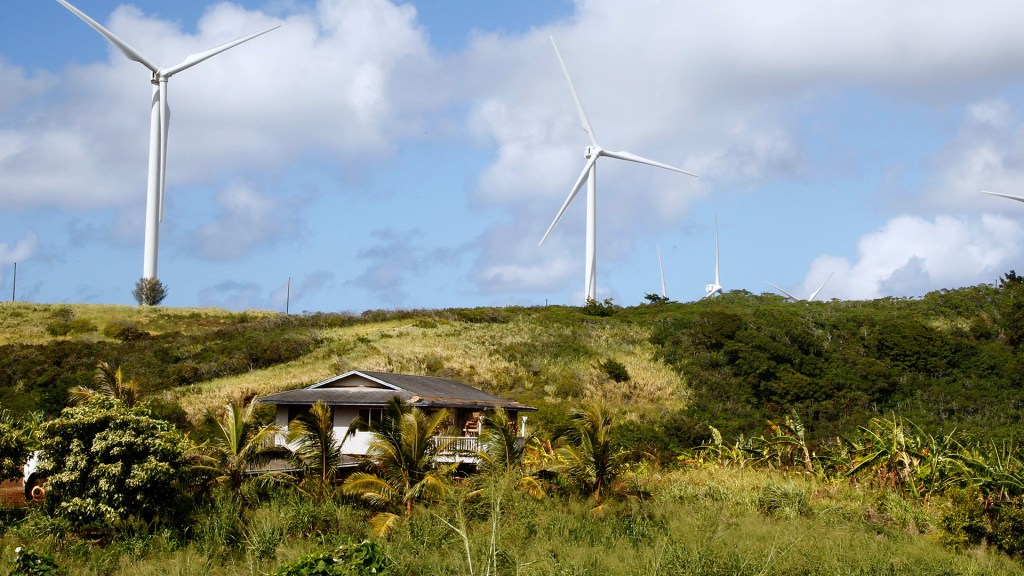 Hawaii orders wind turbine removal that may impact state’s clean energy goals